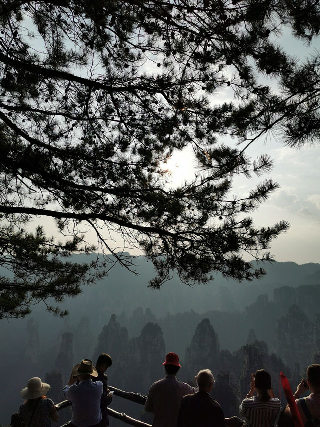 🇨🇳 Zhangjiajie: Step into the Real-Life Avatar World