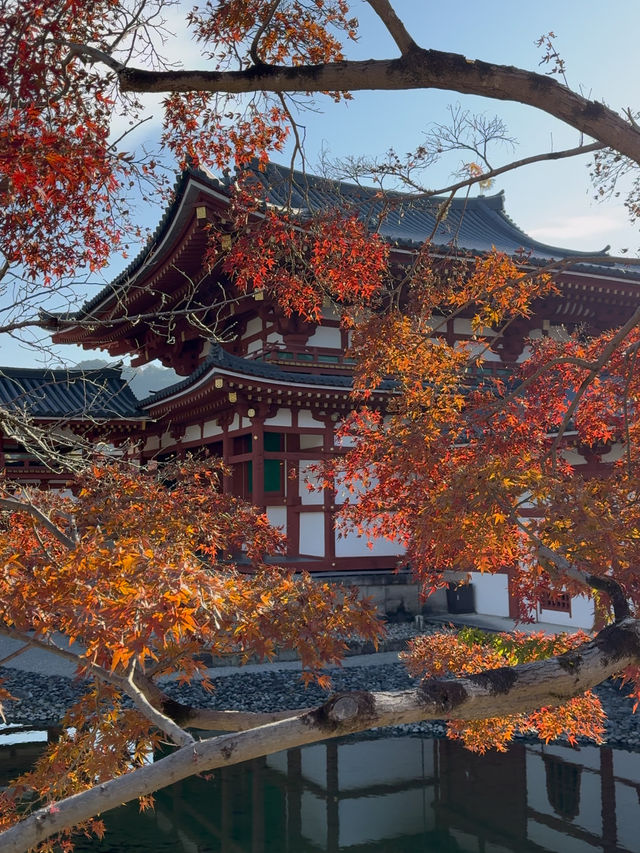 Byodo-in Temple: A Must-Visit Landmark in Uji