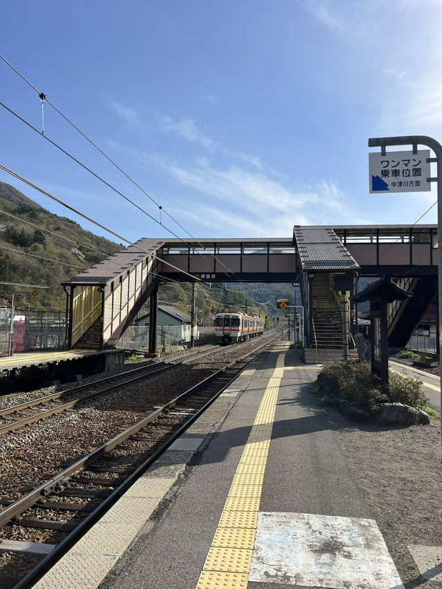 【長野】レトロな駅舎🚉沿線に梅が咲き誇る駅