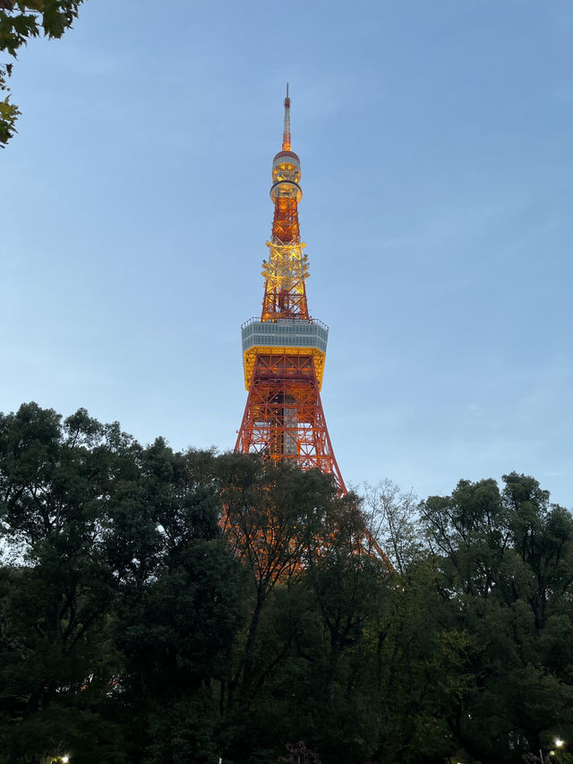Tokyo Tower โตเกียวทาวเวอร์