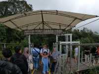Thrilling Adventure at Rengganis Suspension Bridge