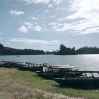 Breathtaking Serenity at Patenggang Lake