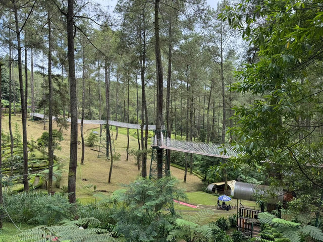 Enchanted Escape at Orchid Forest Cikole
