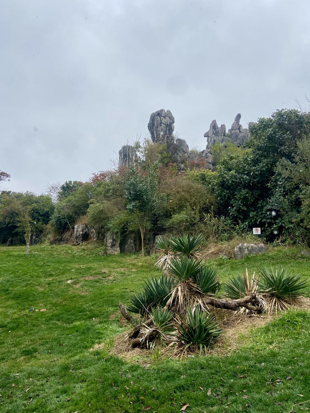 🏞️☺️石林生態公園｜雲林昆明好去處🥾