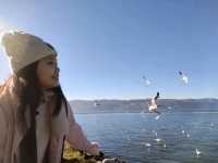 Dali, the most gentle place in Yunnan!
