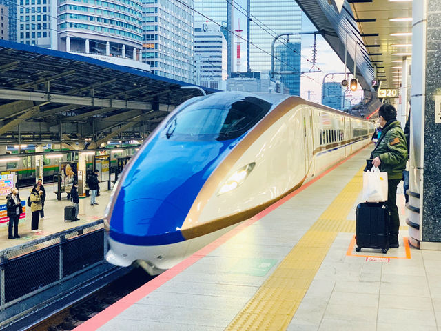 【贅沢な移動】上越新幹線グリーン車で快適スキー旅🚄🎿