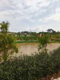 Bamboo Pathways and Calligraphy: A Serene Escape