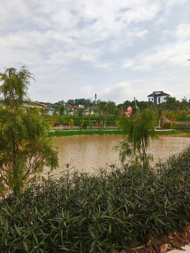Bamboo Pathways and Calligraphy: A Serene Escape