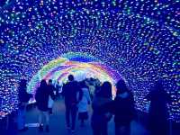 Yomiuri Land