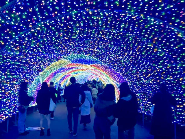 Yomiuri Land