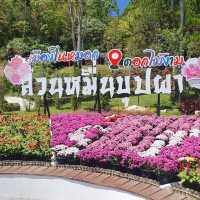 Betong Winter Flowers Garden