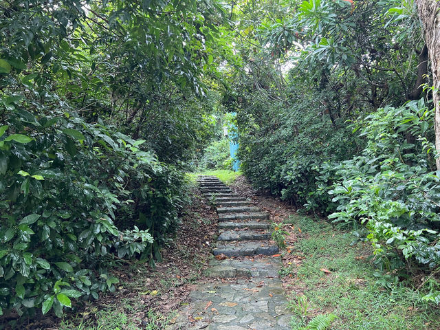 探索龍蝦灣·情人節的靜謐海灘🌅💕