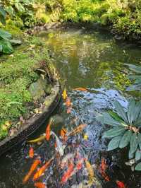 แลเฌอ เดอ คาเฟ่ | รามอินทรา