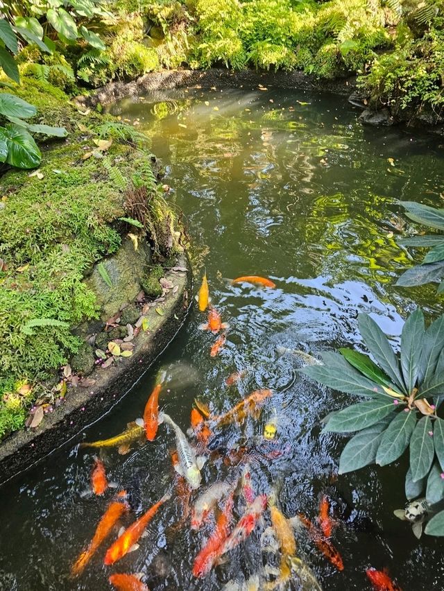 แลเฌอ เดอ คาเฟ่ | รามอินทรา