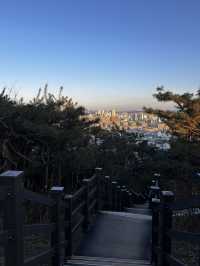 도심 한가운데 우뚝 선 해발 143m의 아기자기한 유네스코 세계문화유산 팔달산🇰🇷