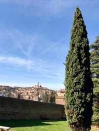 A Walk Through Time – Discovering the Medieval Majesty of Siena