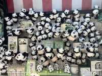 Chengdu! Panda-monium