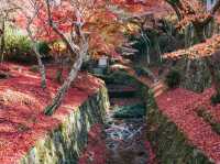วัดโทฟุคุจิ (Tofukuji Temple) 