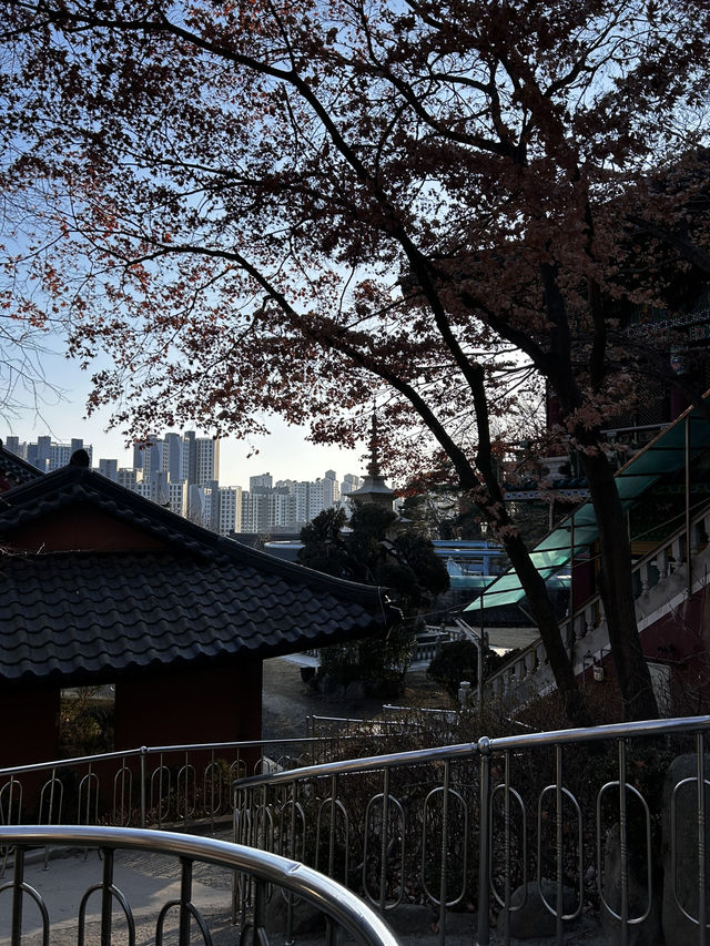 추운데도 절 마당을 스치는 바람 소리를 느낄수 있는 삼성산 보장사🇰🇷