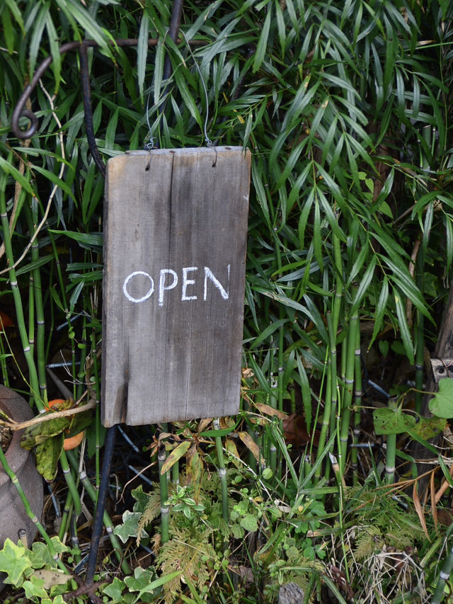 Cozy Café Hidden in Kamakura