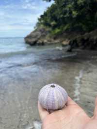 Why Pantai Palamoko Should Be on Your Travel List 🌊🏝️ 