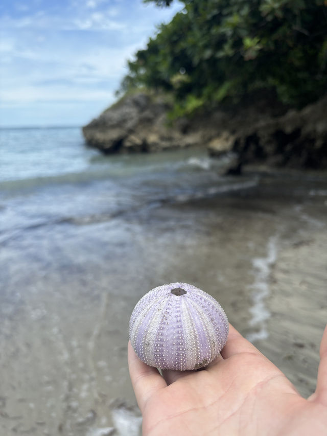 Why Pantai Palamoko Should Be on Your Travel List 🌊🏝️ 
