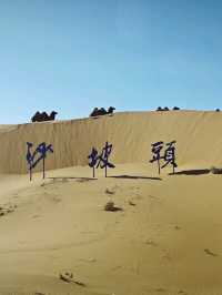寧夏回族自治區