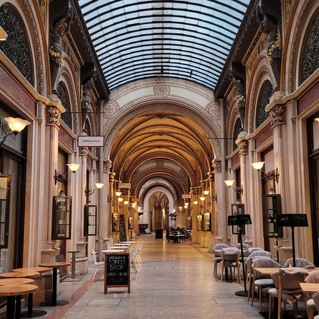 What a championship level coffee treat at the heart of Vienna!