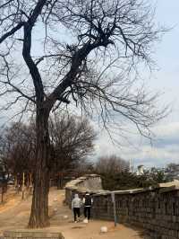 首爾｜一座城牆穿梭六百年記憶 東大門城郭路與興仁之門