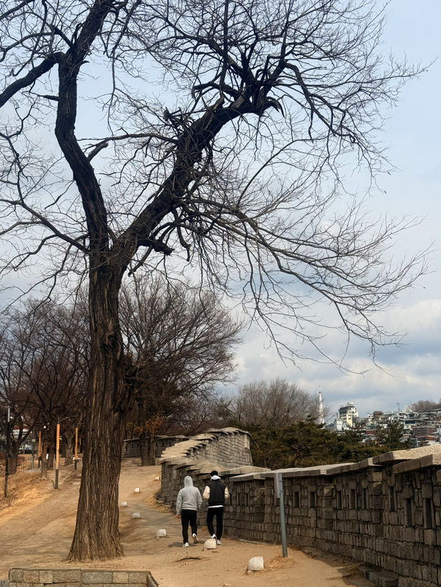 首爾｜一座城牆穿梭六百年記憶 東大門城郭路與興仁之門