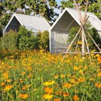 Flower House Cafe'