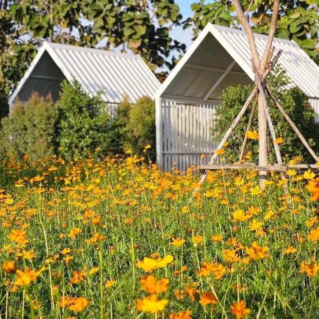Flower House Cafe'