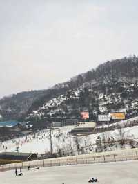 ❄️겨울 야외데이트 추천 스키&썰매장❄️