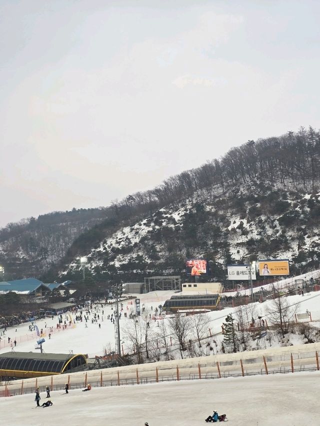 ❄️겨울 야외데이트 추천 스키&썰매장❄️