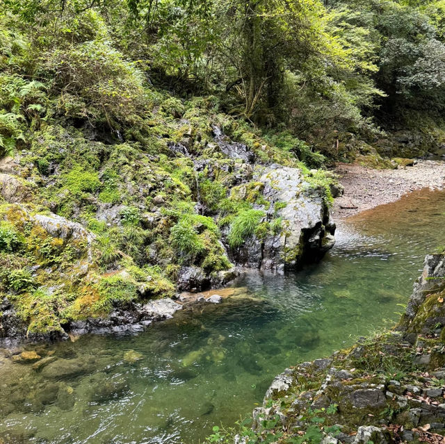 金面山親山步道🌿與青山綠水共舞