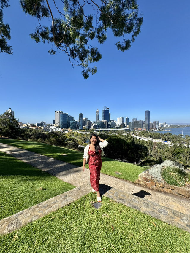 Kings Park Adventure: Nature, Views & Culture