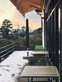 따뜻하고 조용한 곳에 자리잡은 감귤밭 통나무집🍊
