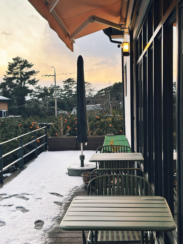 따뜻하고 조용한 곳에 자리잡은 감귤밭 통나무집🍊