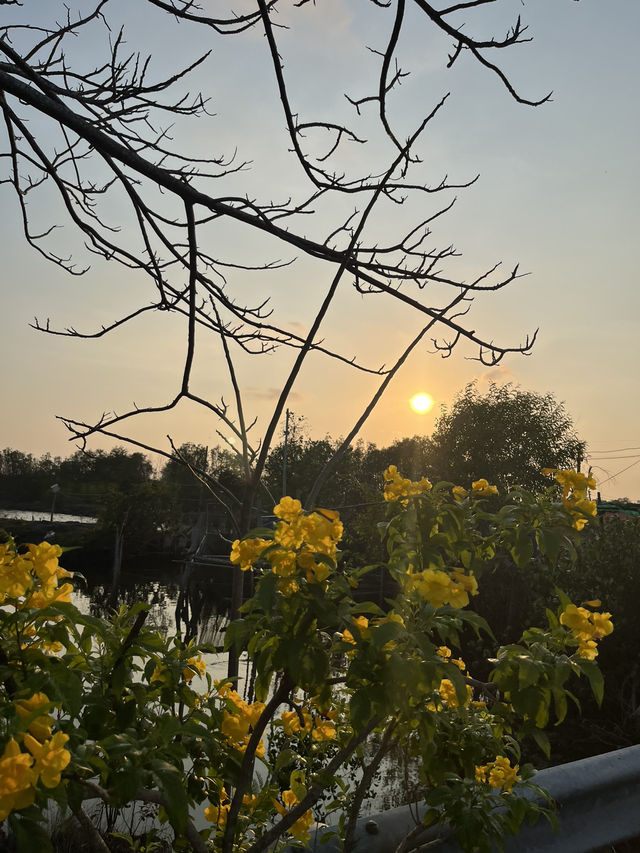 Rajamaitri Buri homestay 