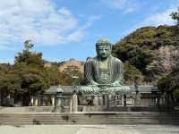 みんな生涯に一回は行く‼️ 【鎌倉大仏高徳院】