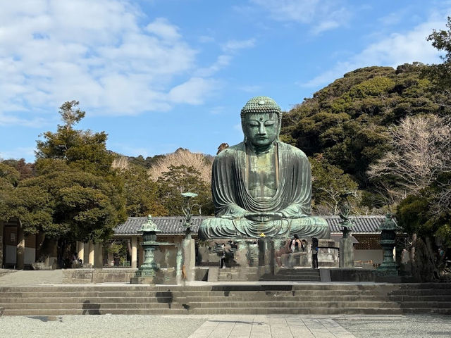 みんな生涯に一回は行く‼️ 【鎌倉大仏高徳院】