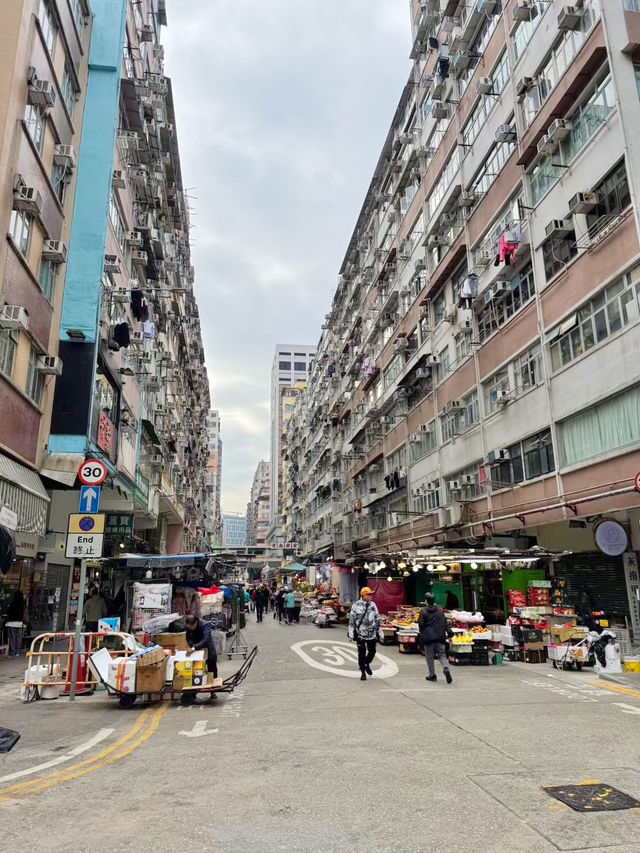 ［香港旅遊］通菜街🧺、花園街🌸、金魚街🐟-最具港風的市井街道🇭🇰體驗香港的人間煙火💯