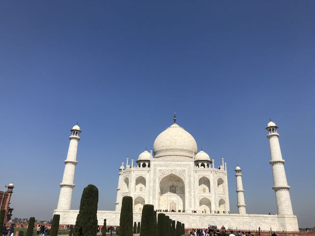 The Ultimate Deep Dive into India 🇹🇯 in 14 days