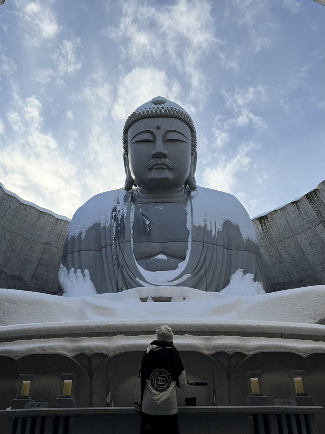 真駒内滝野靈園：摩艾像與大佛頭像的雙重震撼