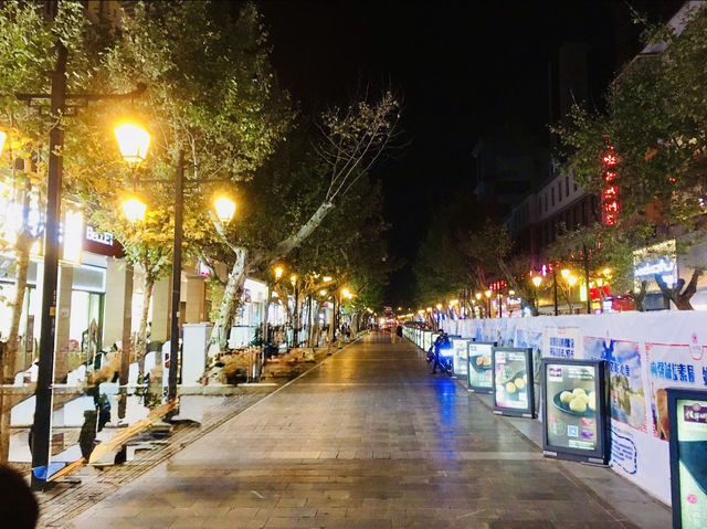 Kunming's Bustling Hub: Nanping Business Street