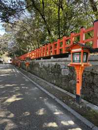 Kyoto: The Timeless Heart of Japan’s Culture and Tradition
