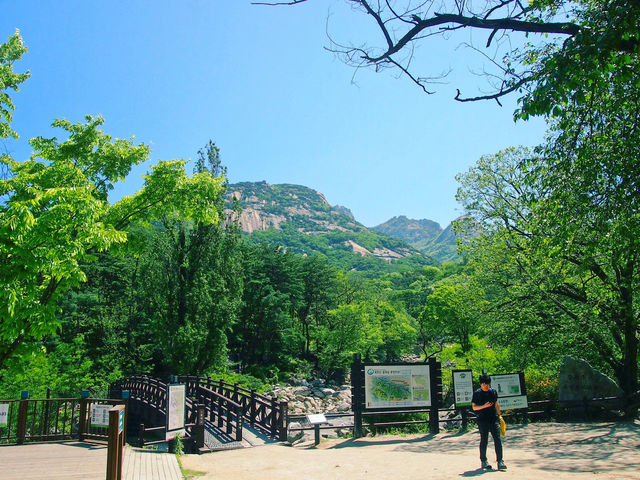 🌸따뜻한 날씨에 함께 걷고 운동하는 거 어때요? 북한산 둘레길 10구간