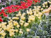 A Magical Experience at the Gardens by the Bay Flower Festival