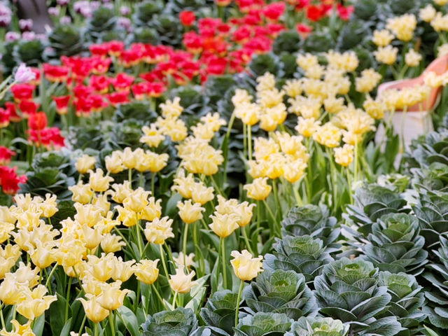 A Magical Experience at the Gardens by the Bay Flower Festival