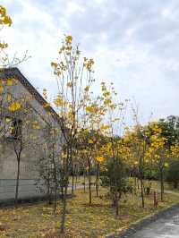 惠州除了西湖外,還是一個紅花湖也很美